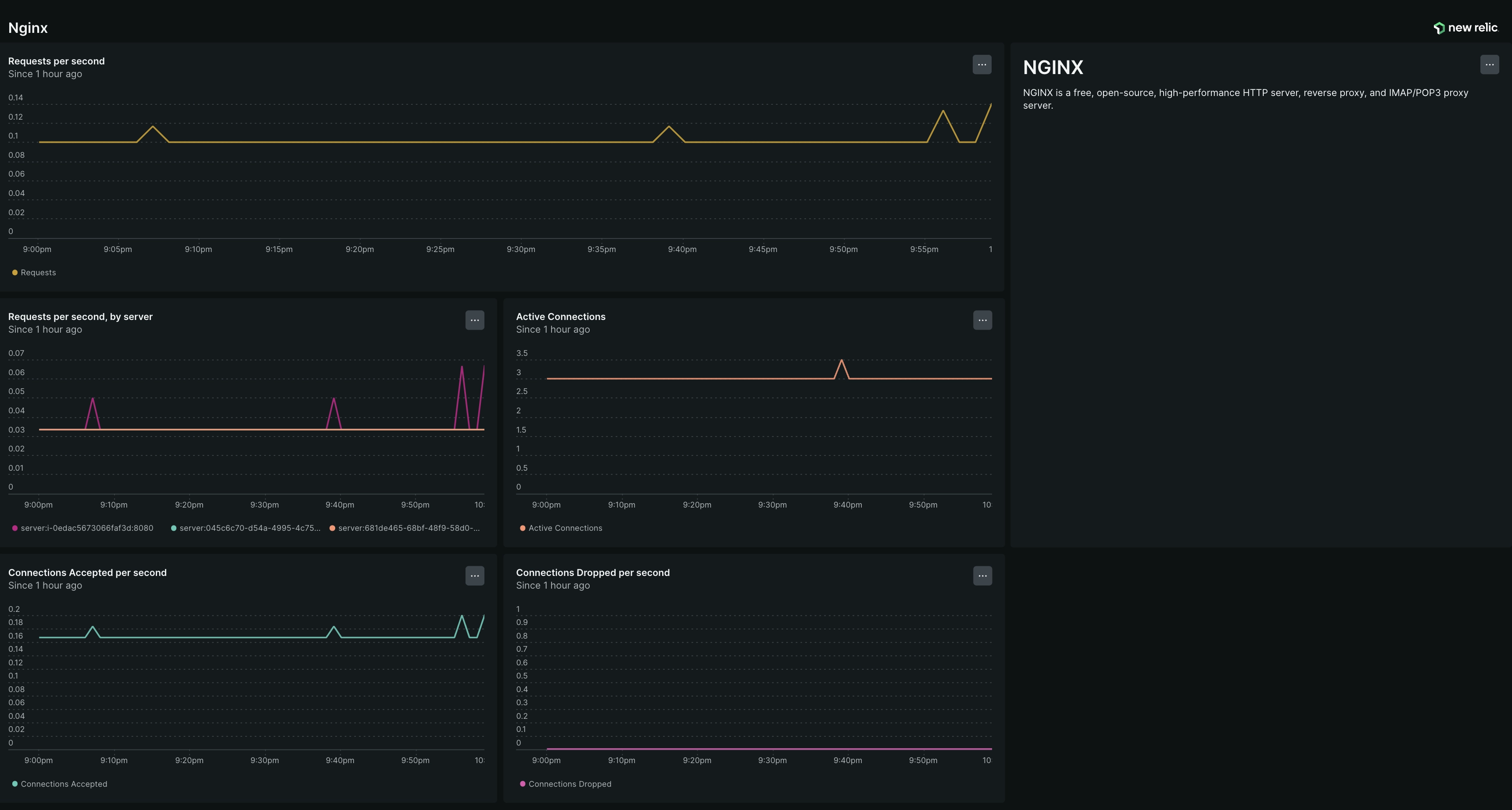 nginx dashboard screenshot of dashboard