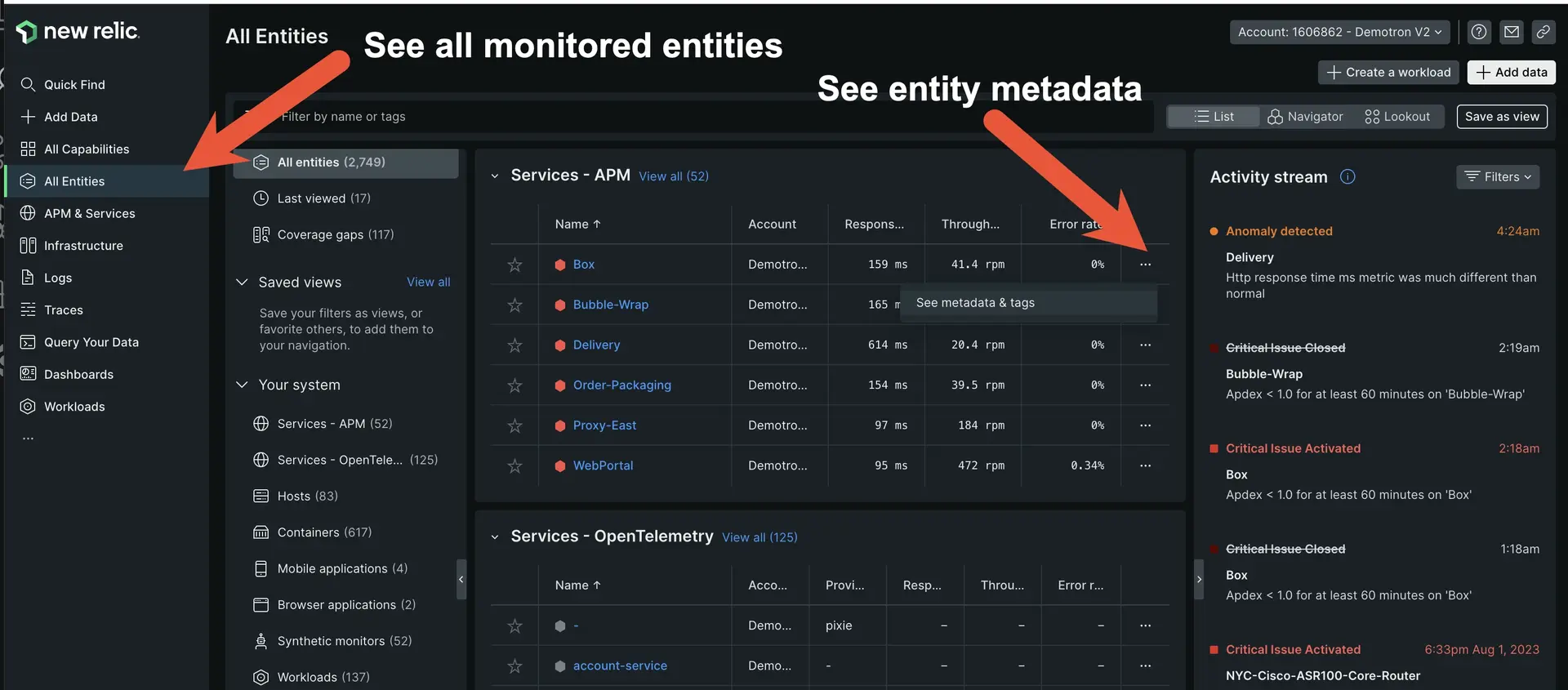 New Relic entity list view New Relic entity list view